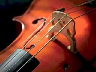 MUSIC BRANCHES